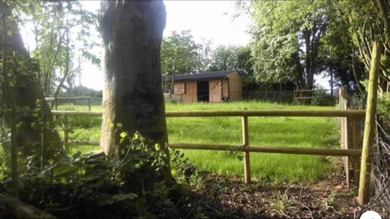 Meerkat Manor Colwall Exterior photo